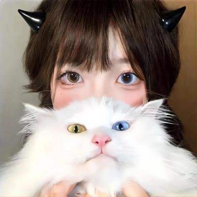 狂野时速